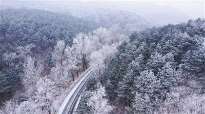 不受领导重视，该不该立即换工作？非常心烦。游戏画面